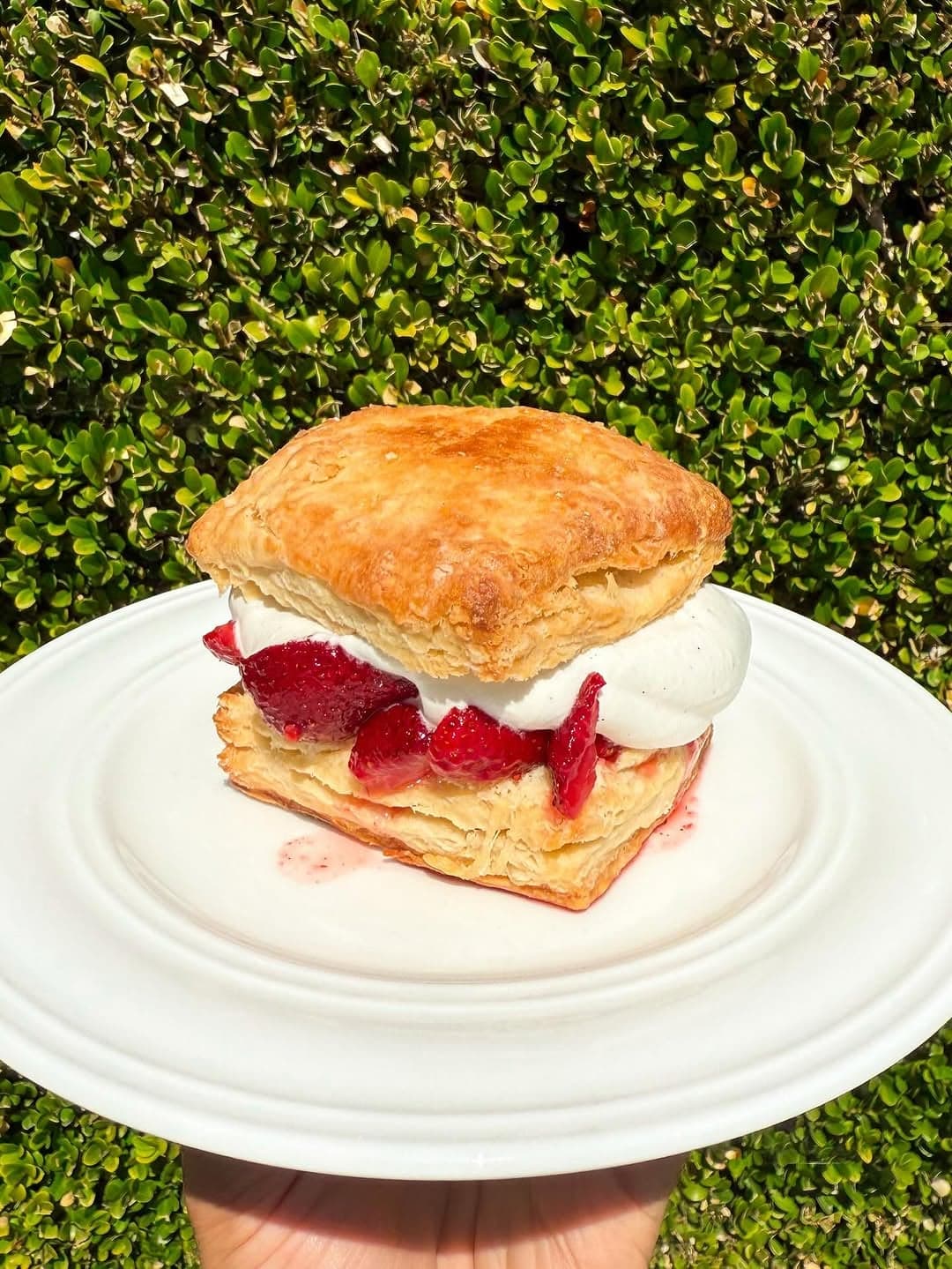 Cardamom and Pepper Strawberry Shortcake